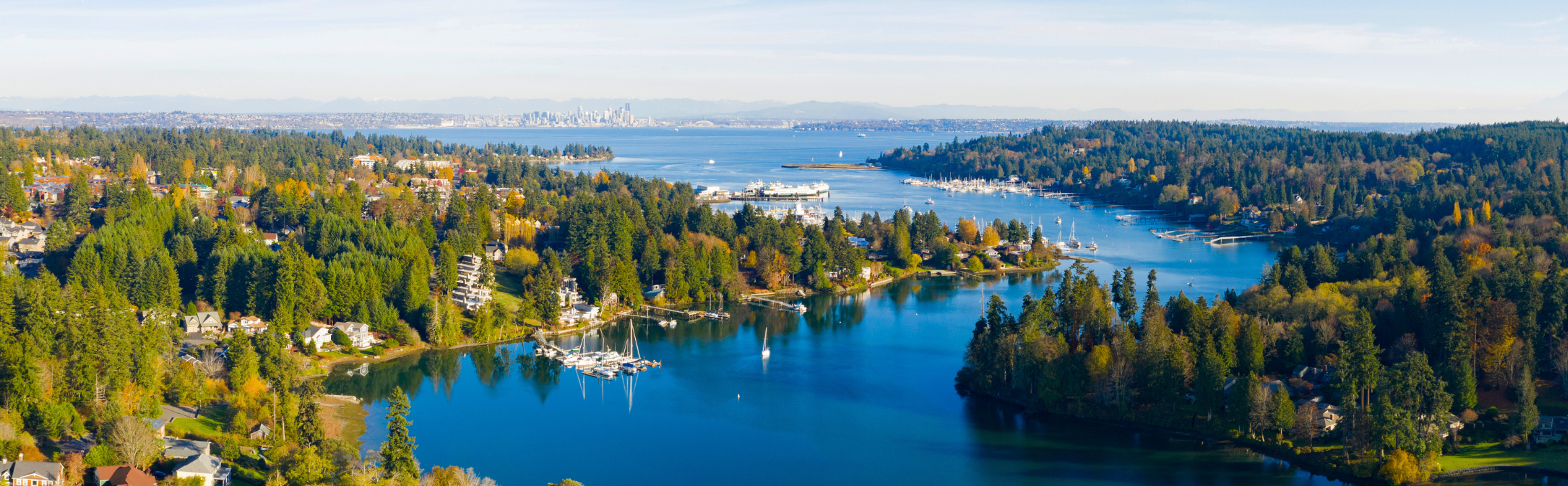 Banner for Invest Today